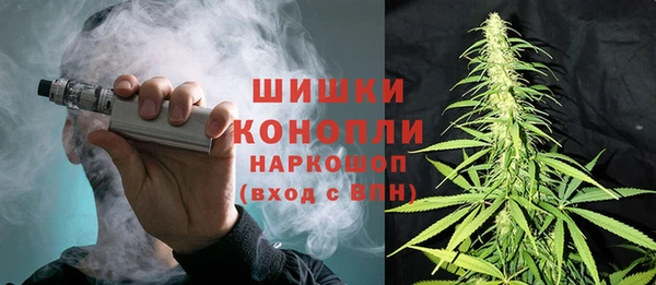 шишки Алексеевка