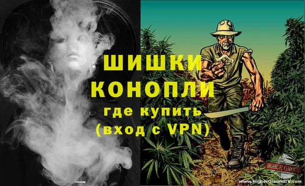 шишки Алексеевка